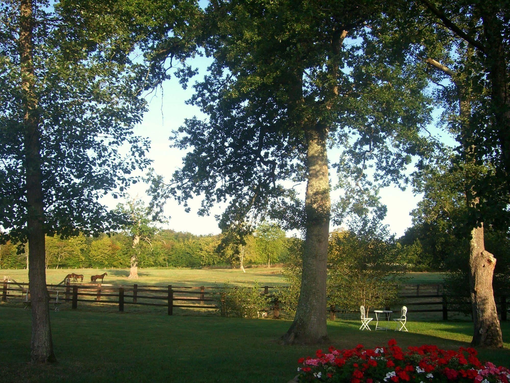 Saint-Pierre-Canivet Domaine De La Tour B&B 외부 사진